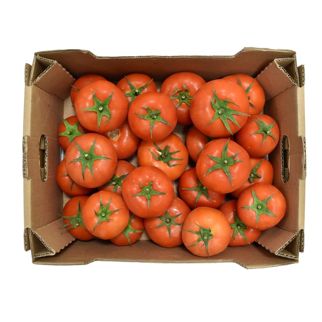 Tomato 5-6 kg iran 🇮🇷
